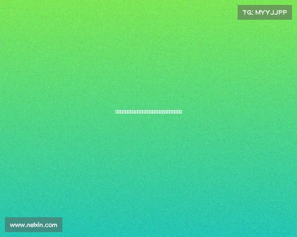 足球转会代理合同的核心内容与条款解析及法律风险防范措施