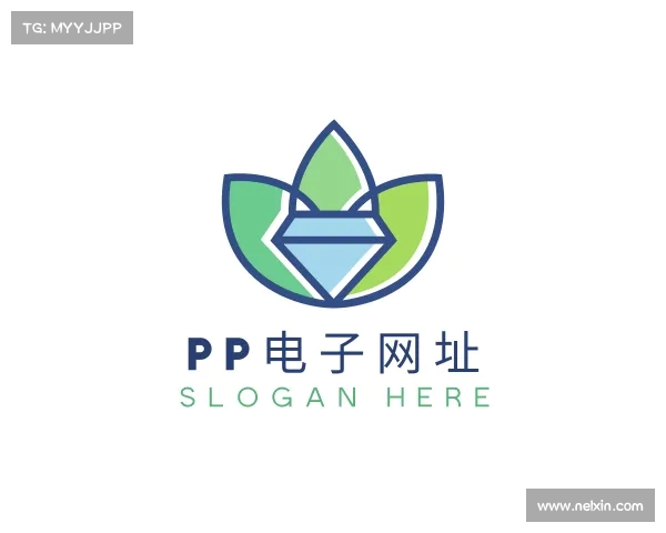 介绍pp电子网站