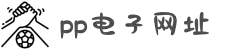 pp电子(中国)·官方网站